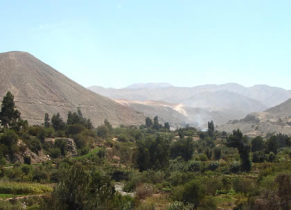 VALLE VIEJO 01