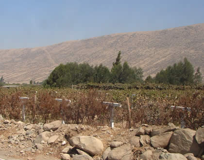 VALLE VIEJO 07